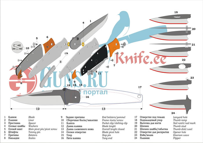Анатомия СКЛАДНОГО ножа